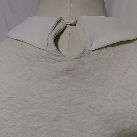 Olive Des Olive Ivory Long Sleeve Collared Sweater - Picture 5 of 8